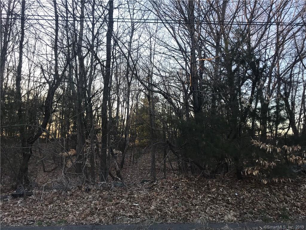 21 Prindle Avenue - Photo 1