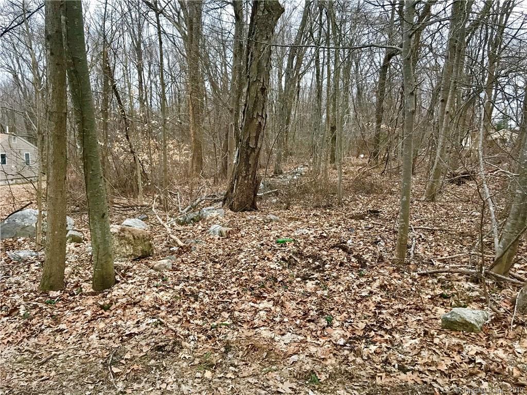 63 Woodland Drive - Photo 1