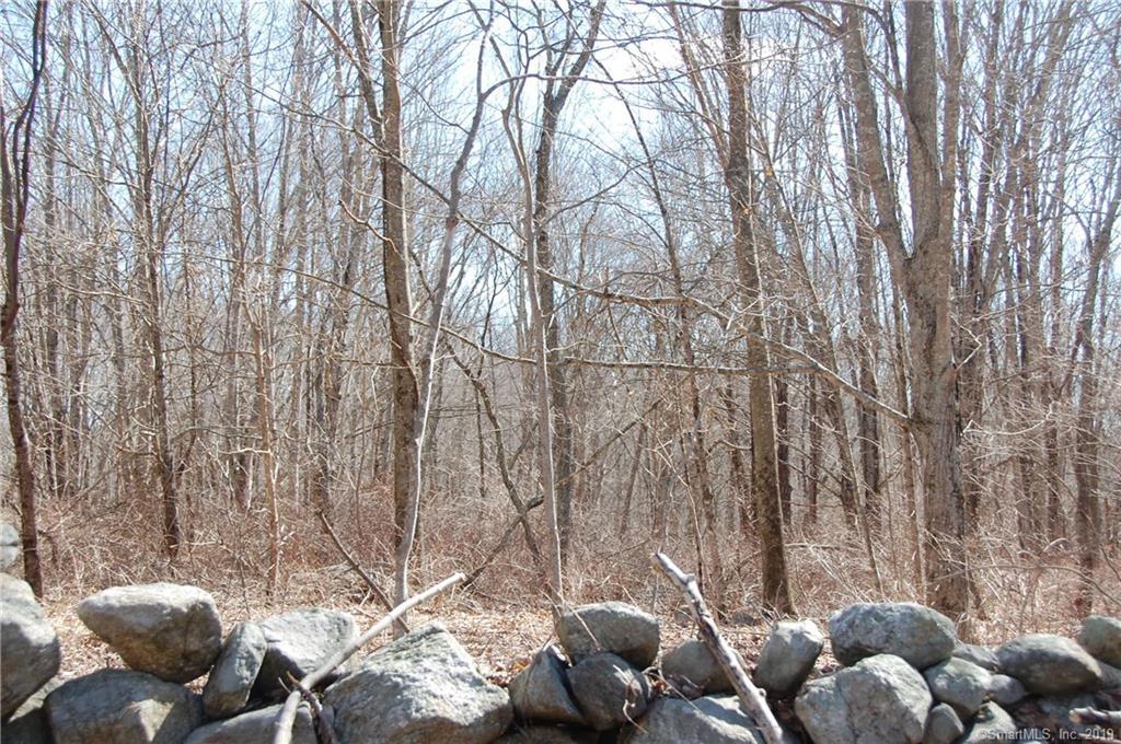 6.5 Wormwood Hill Road - Photo 1