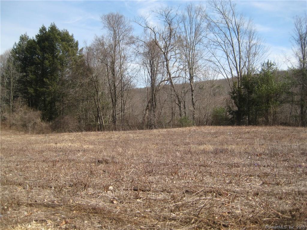 0 Buckley Hill Road - Photo 1