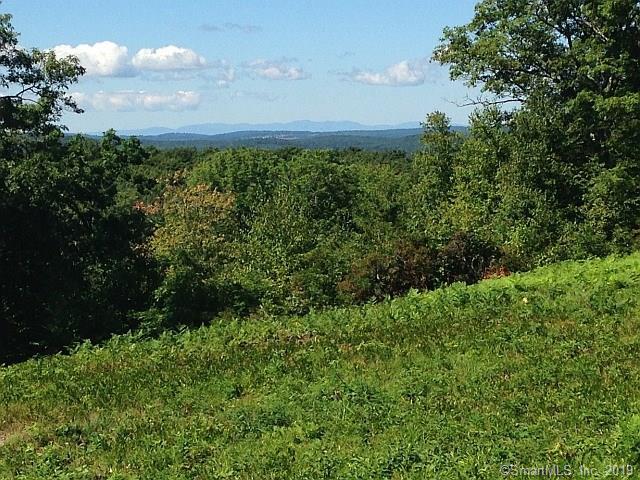 7 Gorham Road - Photo 1