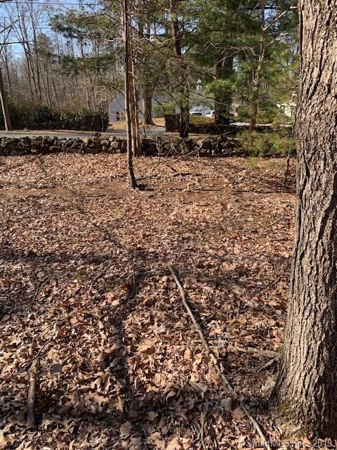 390 Old Mountain Road - Photo 1