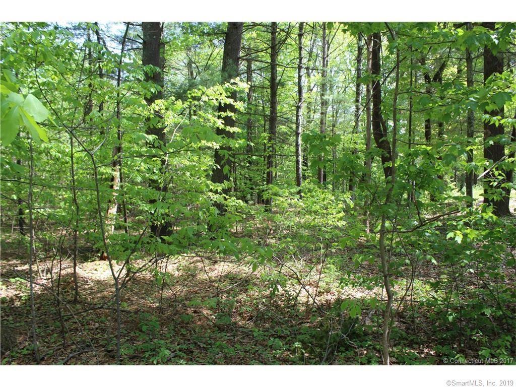 Lot 2 Brook Road - Photo 1
