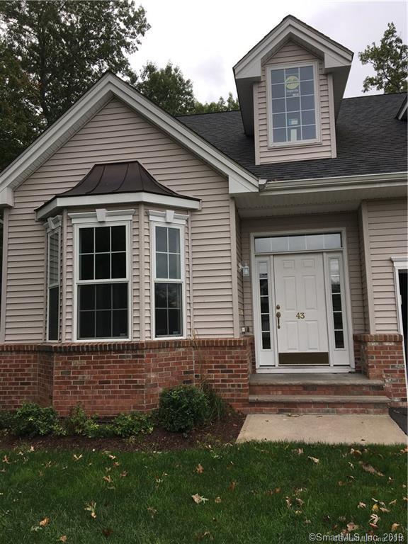 43 Marble Faun Lane - Photo 1