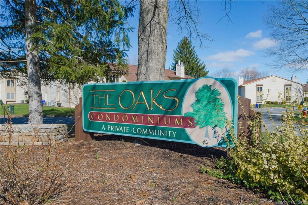 29 Little Oak Lane - Photo 1