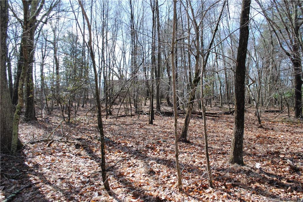 Lot 2 Deep River Road - Photo 1