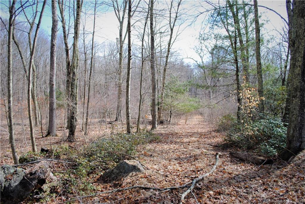 Lot 3 Deep River Road - Photo 1