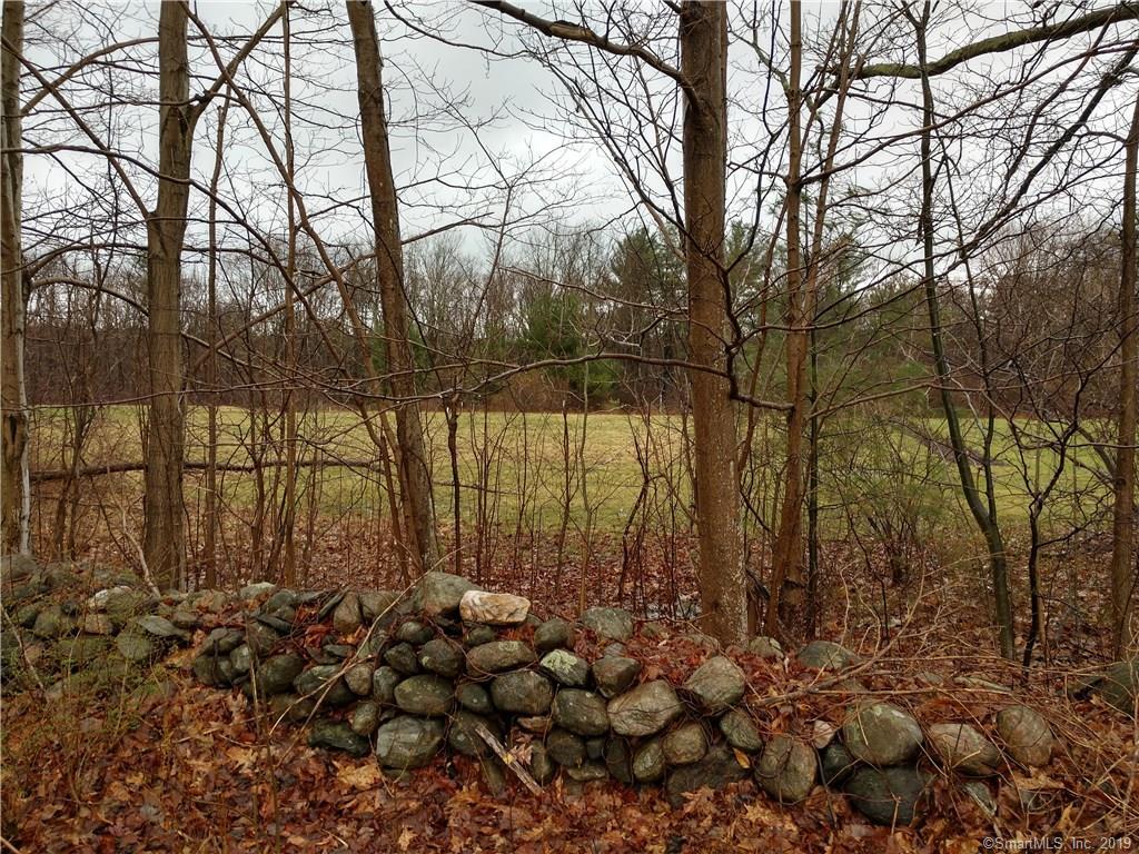 166 Old North Road - Photo 1