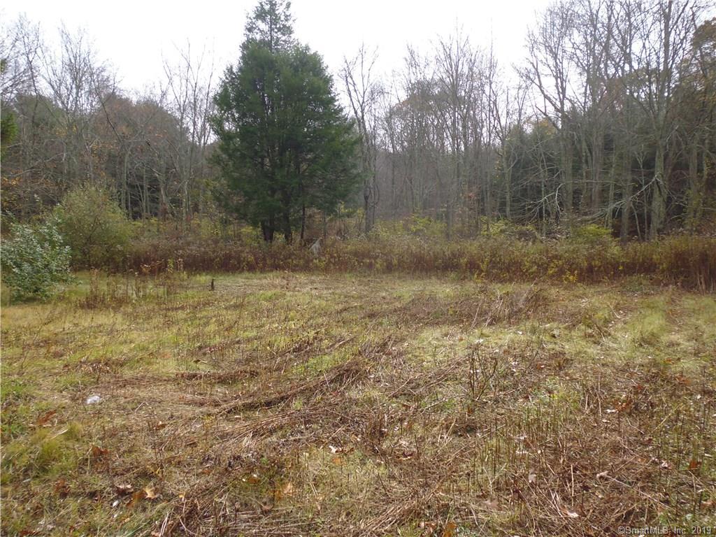 74A Bennett Pond Road - Photo 1