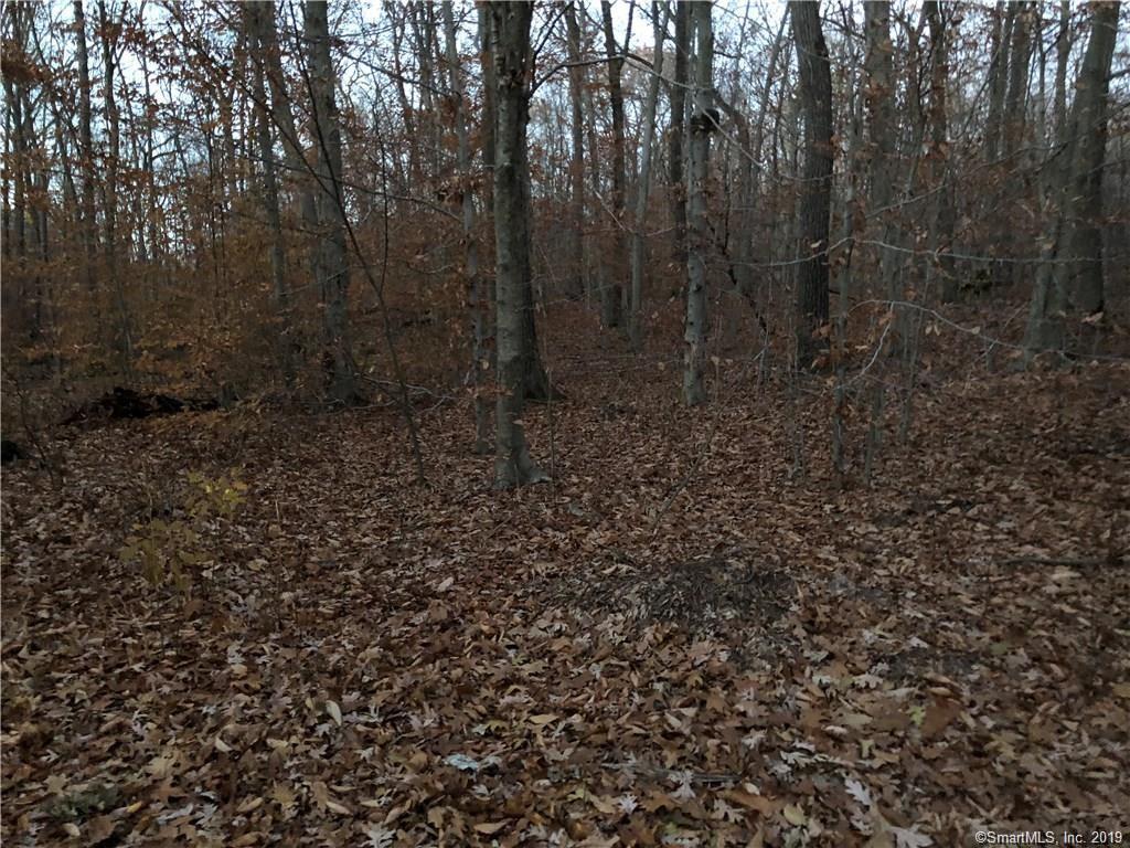 91 Forest Glen Drive - Photo 1