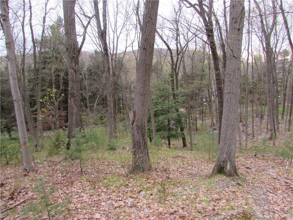 40 Turkey Plain Road - Photo 1