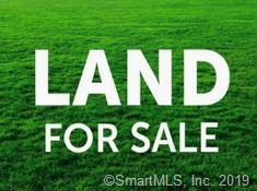 Lot 1 Olde Meadow Road - Photo 1