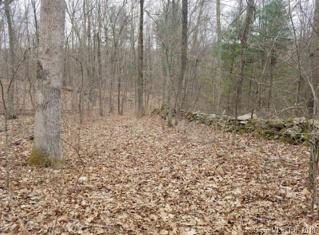 108 Quanopaug Trail - Photo 1