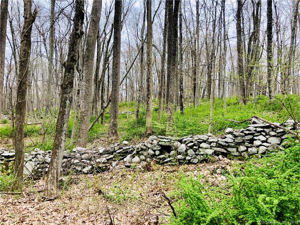 0 Clark Hill Road - Photo 1