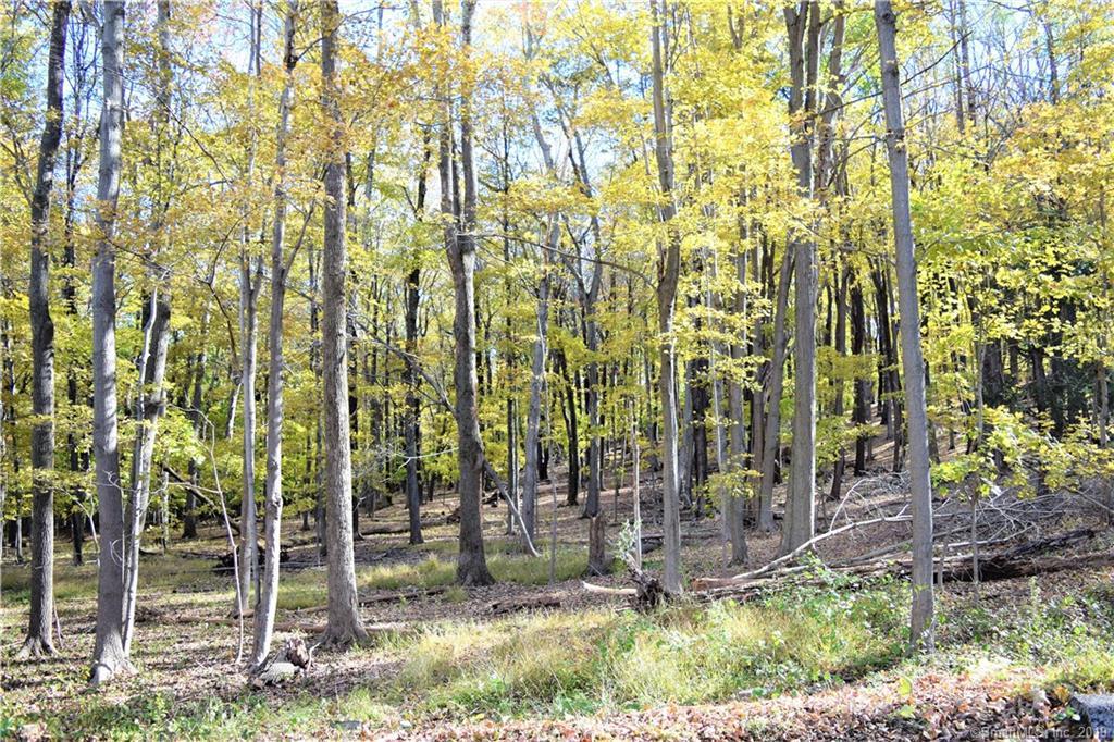 1530 Great Hill Road - Photo 1