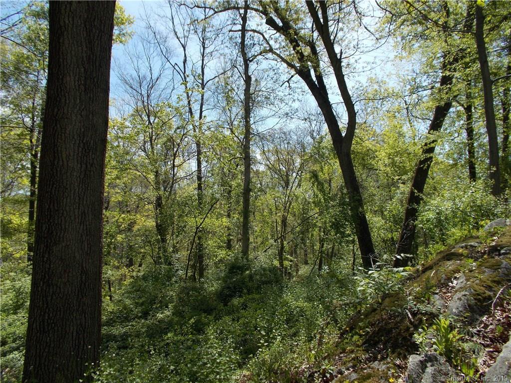 0 Guinea Road - Photo 1