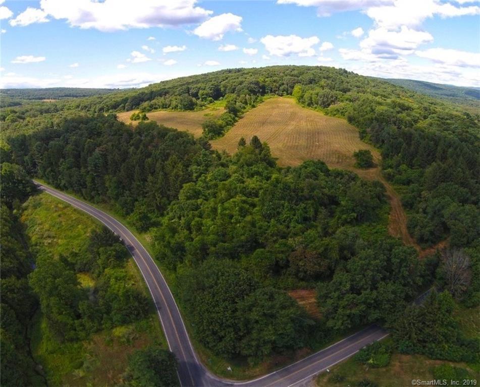 00 Old Route 22 - Photo 1