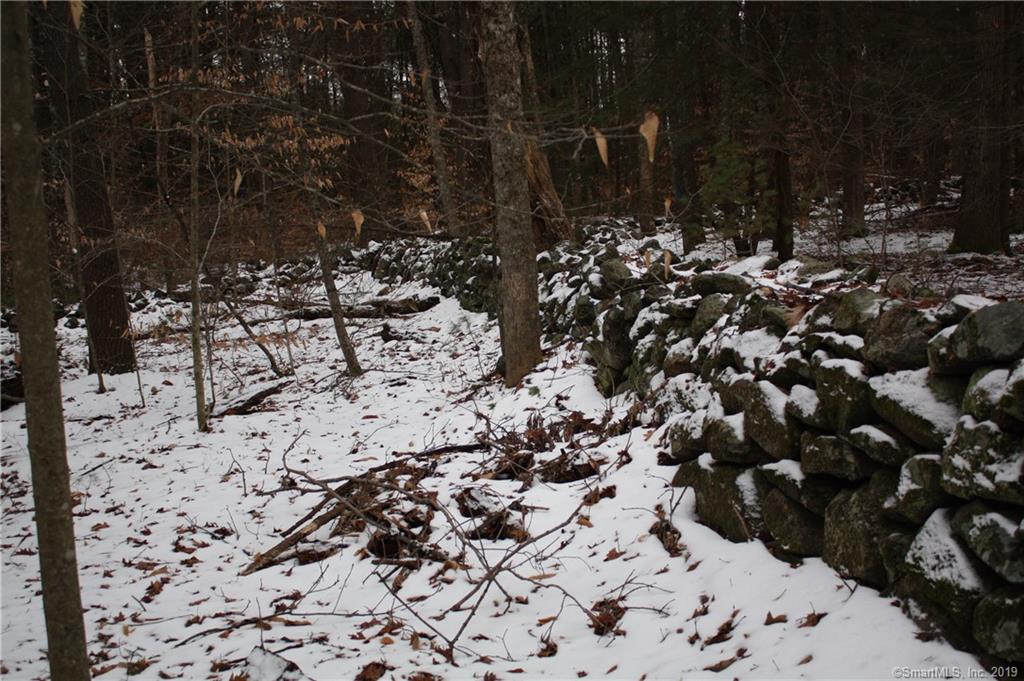 0 Old Forge Road - Photo 1
