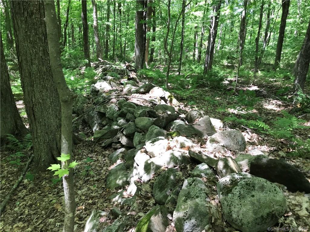 50 Birch Hill Run - Photo 1