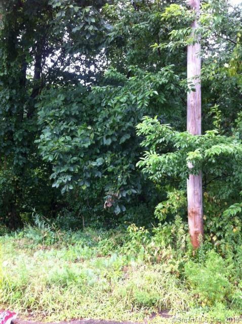 24 Shortell (Aka 135 Hill St) Drive - Photo 1