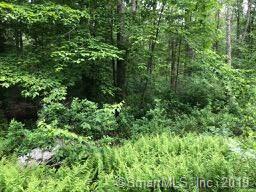 TBD-2 Kinne Road - Photo 1