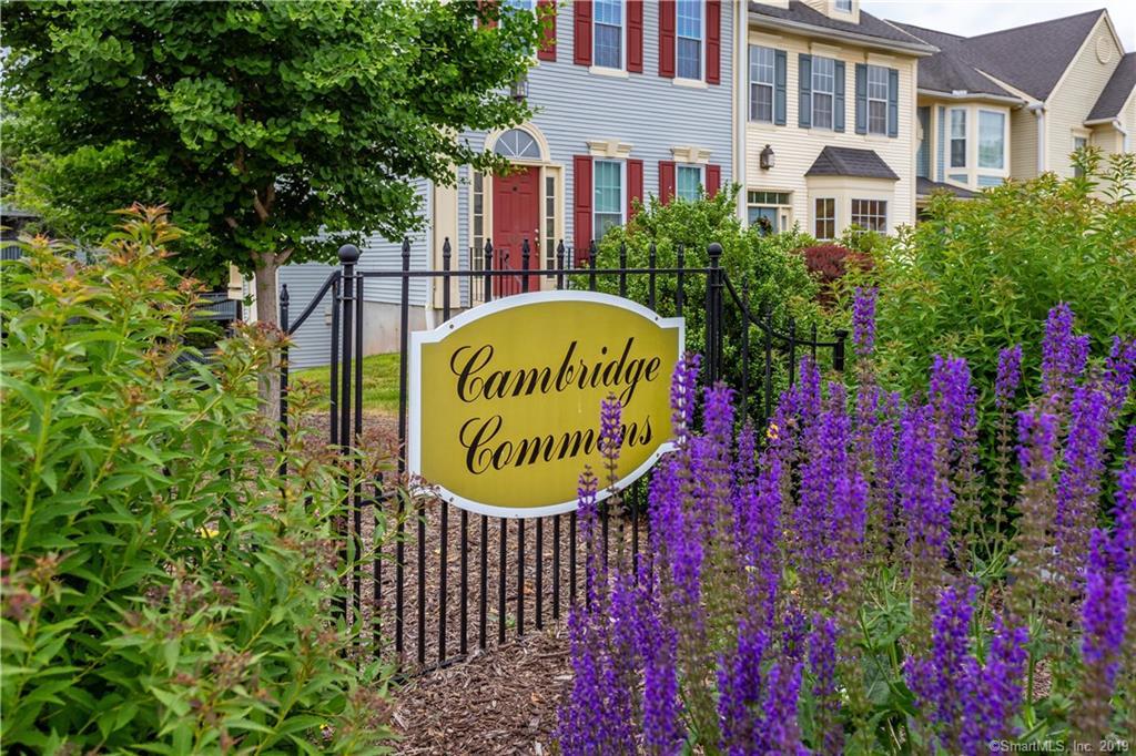 204 Cambridge Commons - Photo 1