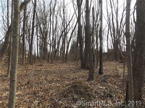 46 Lakes Road - Photo 1