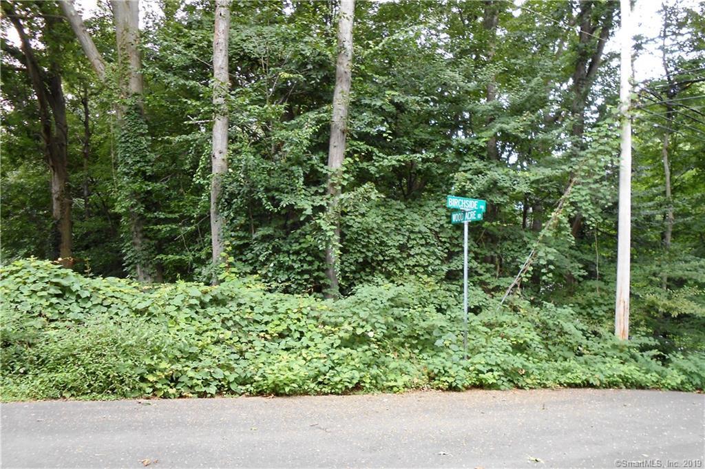 47B Birchside Drive - Photo 1