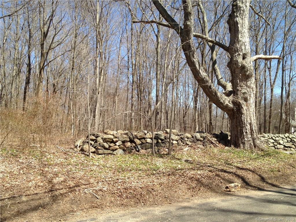 82 Quarry Hill Road - Photo 1