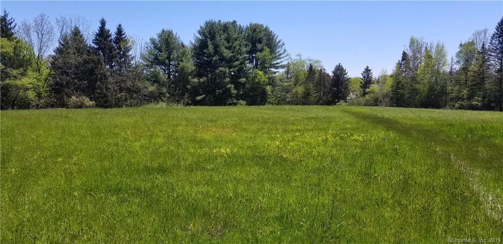 80 Hoffman Road - Photo 1