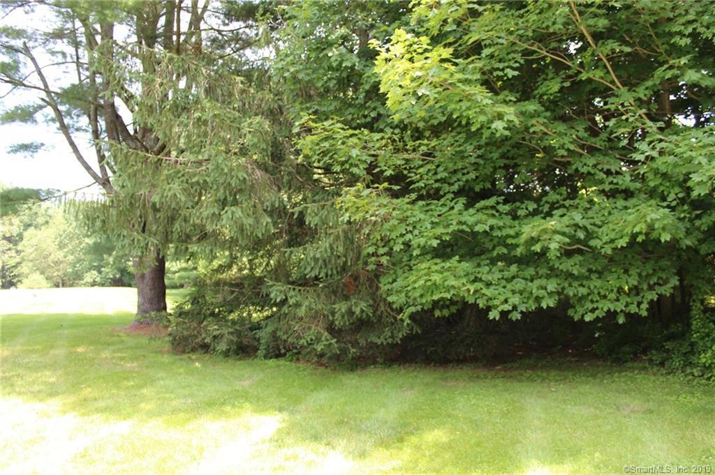 1002 Saybrook - Photo 1