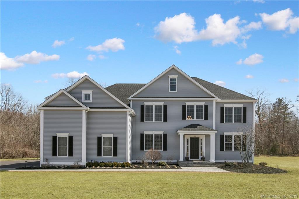 66 Wildcat Springs Drive - Photo 1