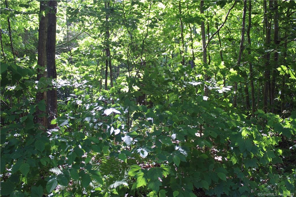 0 Cross To Canaan Valley Road - Photo 1