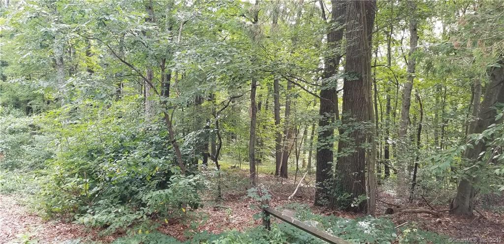110 Birch Mountain Road - Photo 1