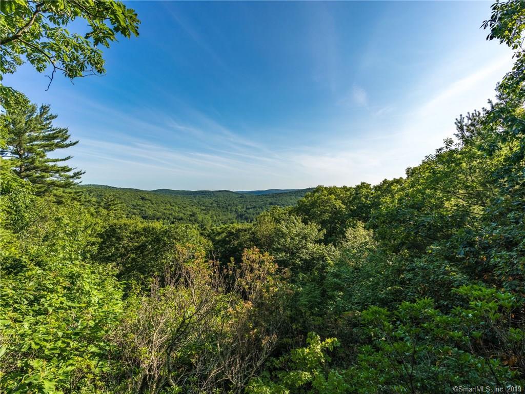 300 Music Mountain Road - Photo 1