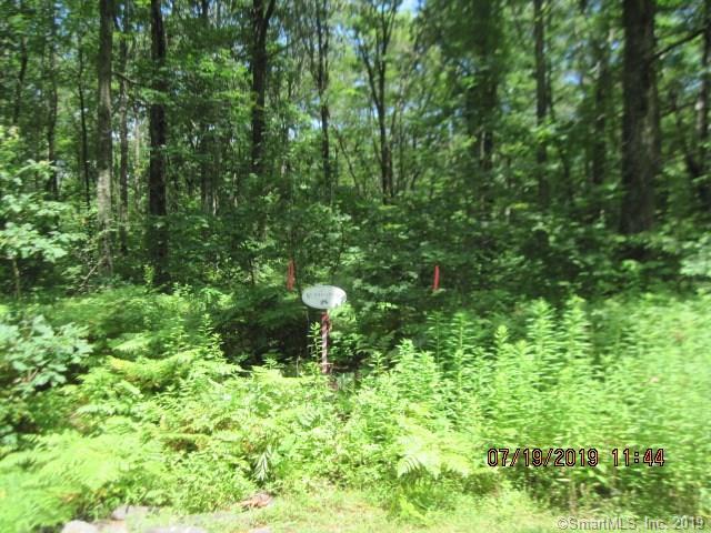 47 Gorham Road - Photo 1