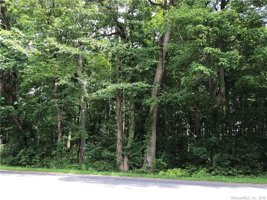 0 Scantic Road - Photo 1