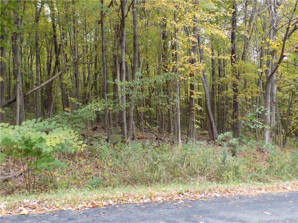lot 4 Arch Bridge Road - Photo 1