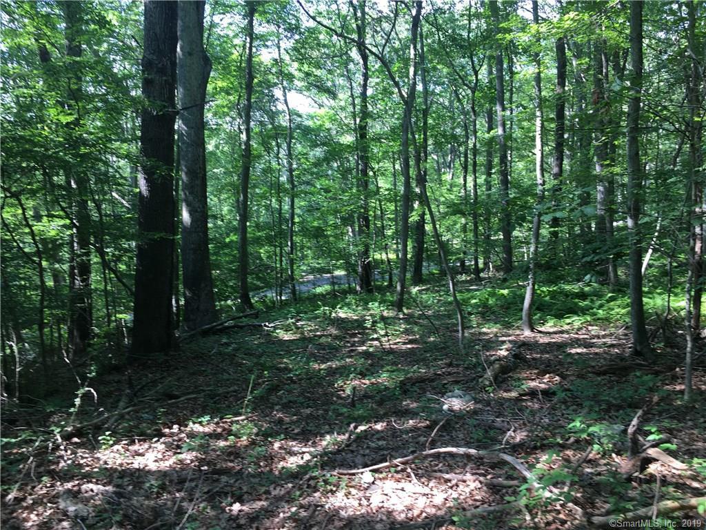 49 Terry Road - Photo 1