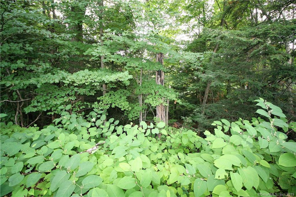 0 Newfield Road - Photo 1