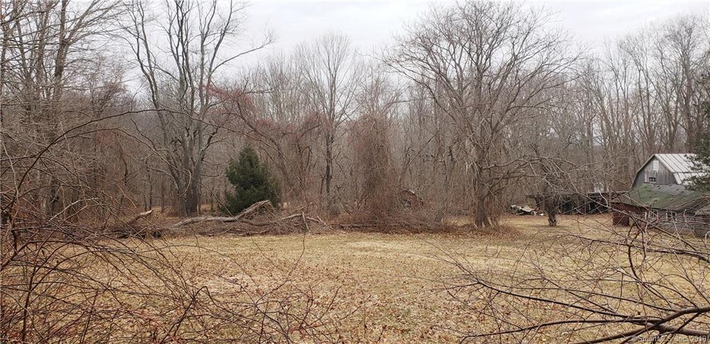 454 Horse Pond Road - Photo 1