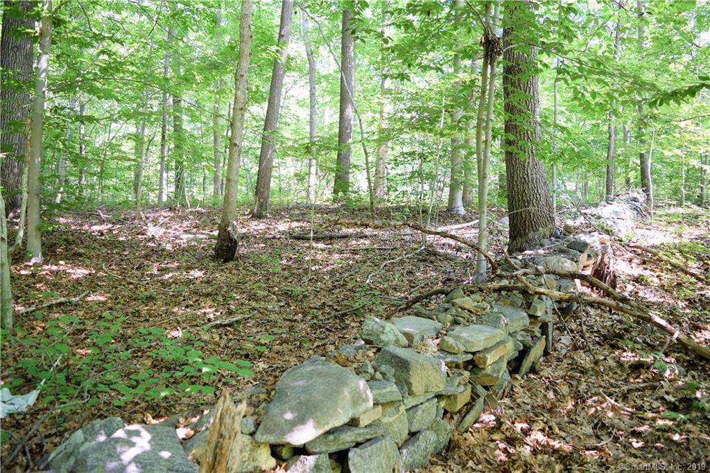 69-B Sylvan Road - Photo 1