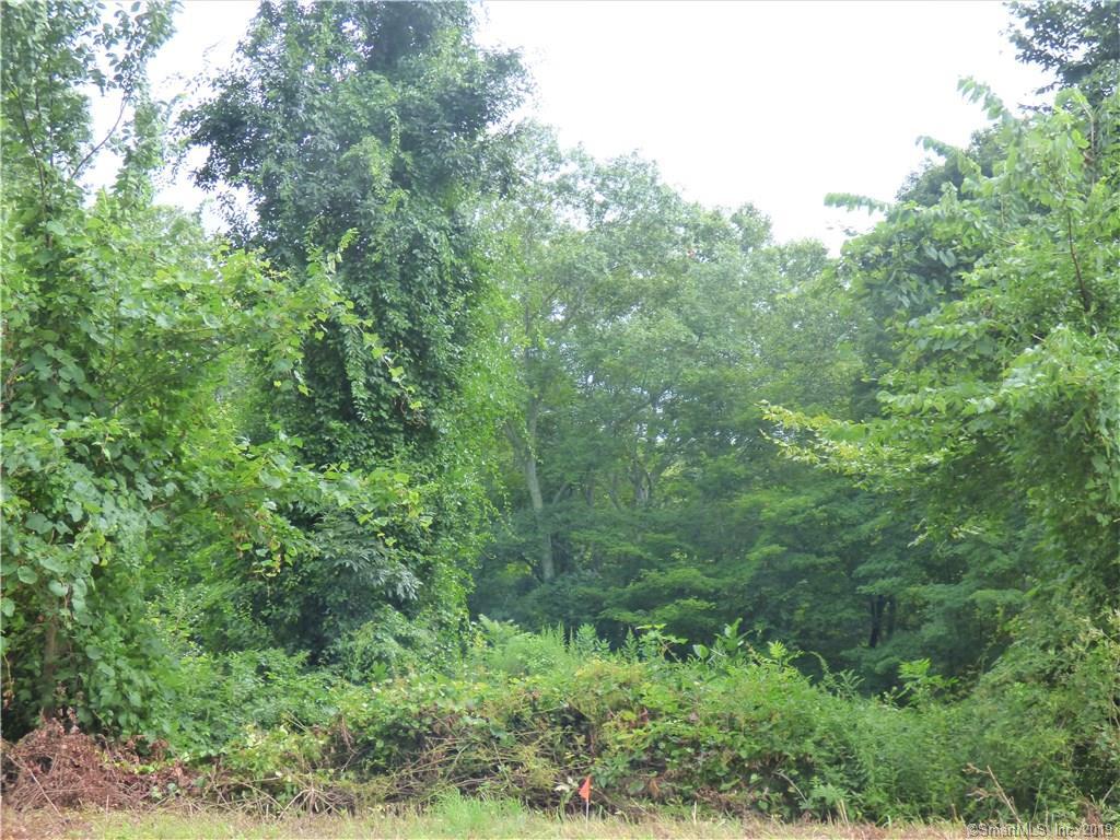 56AX Beaver Dam Road - Photo 1