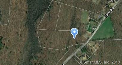 55 Kinne Road - Photo 1