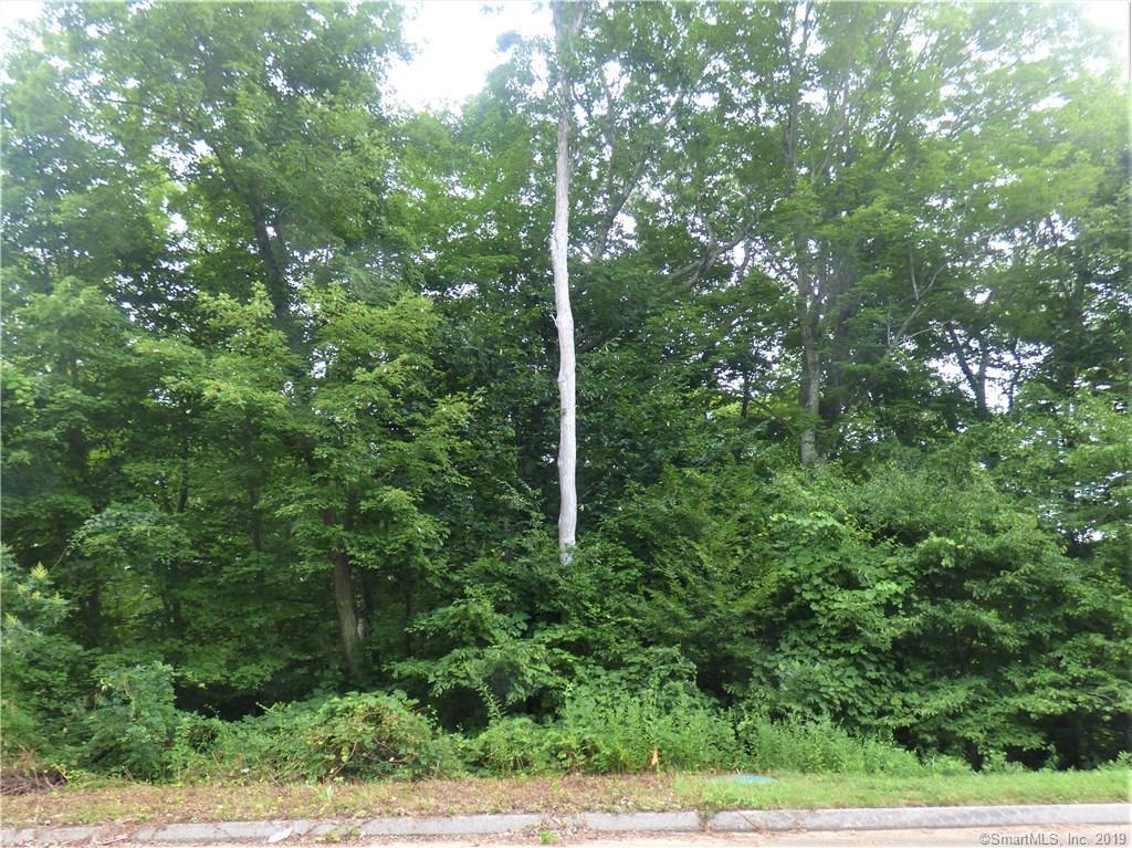 56AY Beaver Dam Road - Photo 1