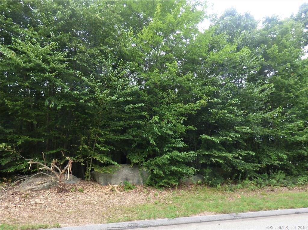 56BH Beaver Dam Road - Photo 1