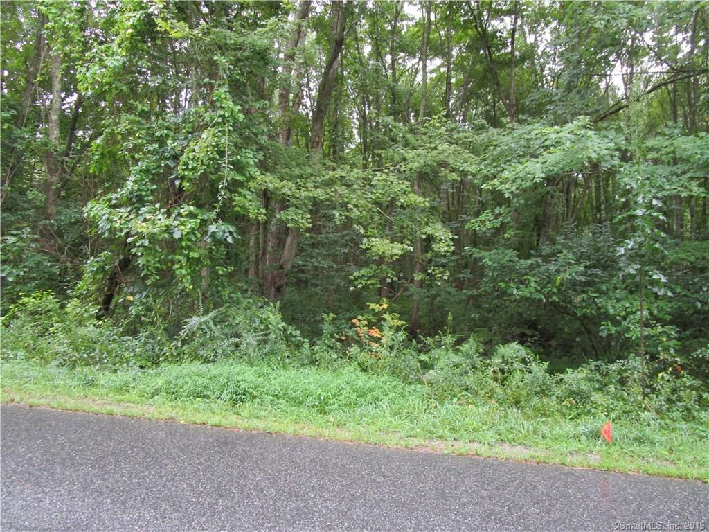 0 Raymond Schoolhouse Road - Photo 1