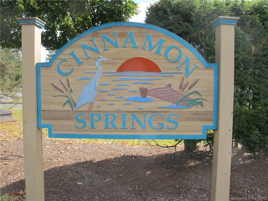 74 Cinnamon Springs - Photo 1 74 Cinnamon Springs - Photo 1
