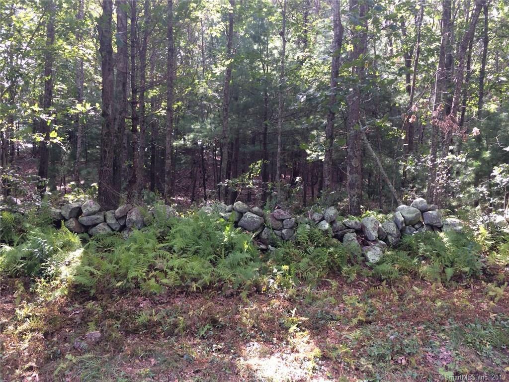 114 Stillman - Photo 1