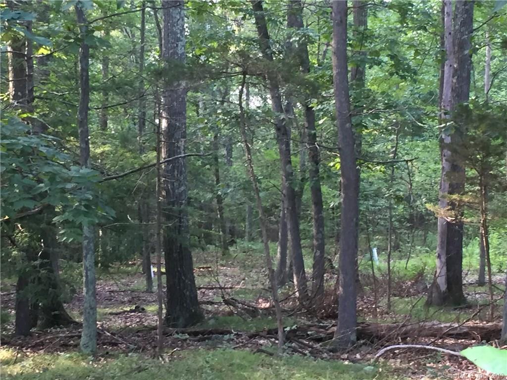 66 Punkup Road - Photo 1